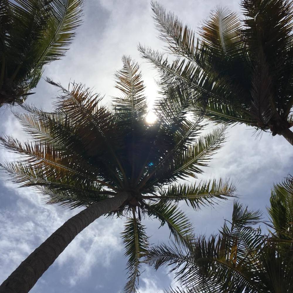 Meet your Posher, Anita